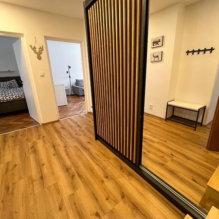 Apartman Visek Jáchymov Exterior photo