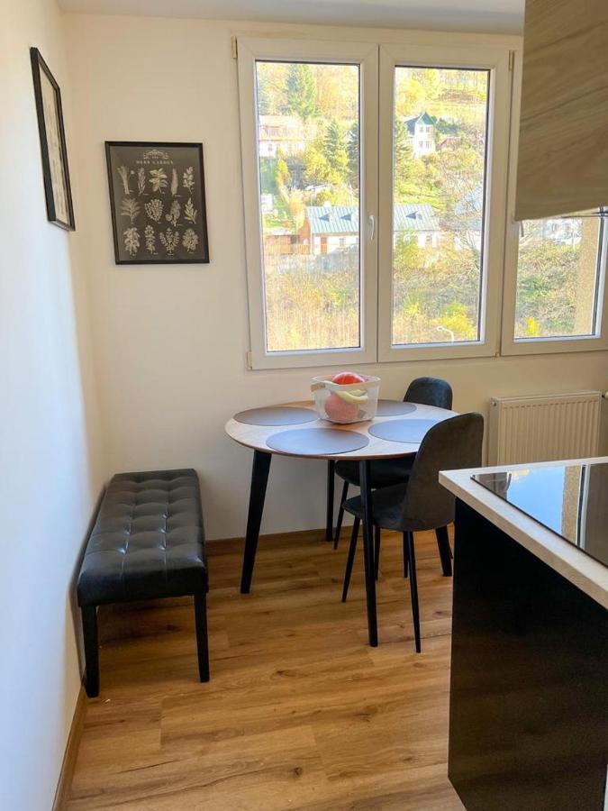Apartman Visek Jáchymov Exterior photo