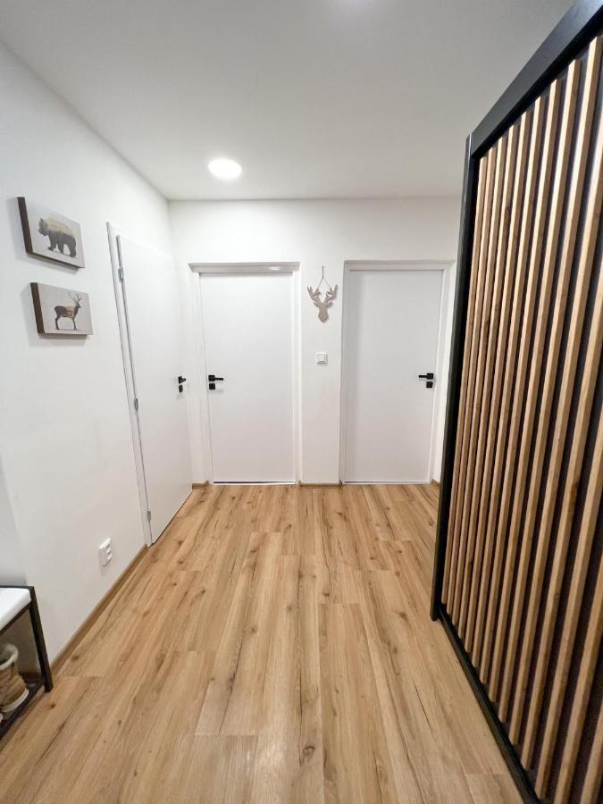 Apartman Visek Jáchymov Exterior photo