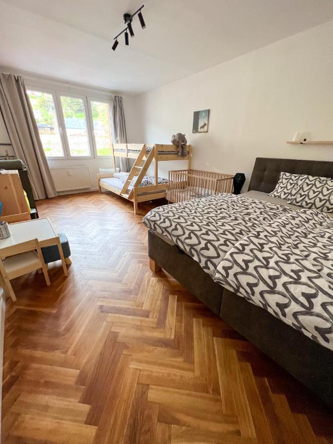 Apartman Visek Jáchymov Exterior photo
